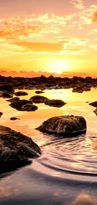 This stunning live phone wallpaper features a serene sunset scene by a body of water with rocks in the foreground, in beautiful gold and bronze colors