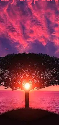 This phone live wallpaper features a tree in front of a breathtaking sunset with magenta and red cloud light colors