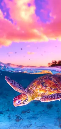 This live wallpaper depicts a serene sunset scene featuring a turtle swimming in the ocean amidst the psychedelic colors of the great barrier reef