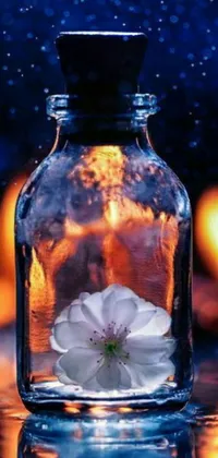 This live wallpaper for your phone showcases a charming glass bottle featuring a delightful flower inside
