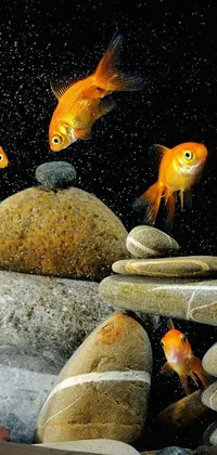 Water Orange Light Live Wallpaper