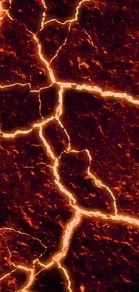 This phone live wallpaper showcases a stunning image of a fire crack on the ground, magnified to showcase its intricate details