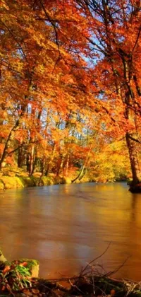 This phone live wallpaper depicts a beautiful river winding through a lush green forest, adorned with red, orange, and yellow leaves that rustle gently in the breeze