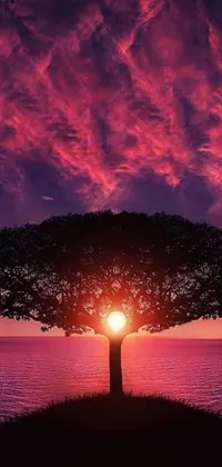 This live phone wallpaper features a symmetrical scene of a tree on a hill near the ocean, with a red cloud light, brain tree eye holy grail, and a beautiful redpink sunset