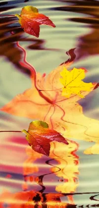 This live phone wallpaper is a beautiful display of floating leaves on top of a water surface