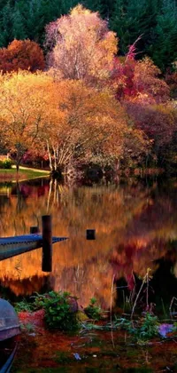 This mobile live wallpaper portrays a boat parked on a tranquil lake next to a forest in autumn