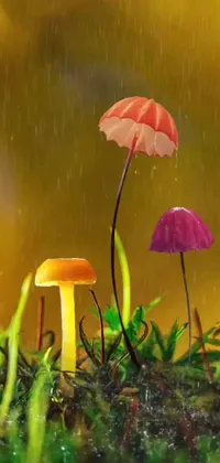 Transform your phone's screen into a wonderland of mushrooms and lush greenery with this stunning live wallpaper