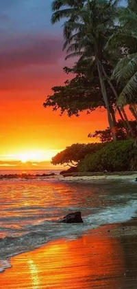 This live phone wallpaper depicts a tropical sunset on a Hawaiian beach
