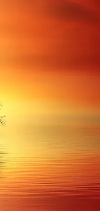Enjoy the beauty of nature with this stunning live wallpaper