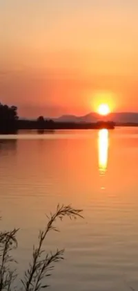 This phone live wallpaper showcases a stunning scene of a serene body of water reflecting a sunset in the background