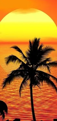 Get transported to a tropical paradise every time you unlock your mobile phone with this stunning live wallpaper