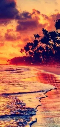 This phone live wallpaper features a stunning tropical beach at sunset