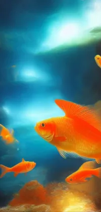 Water Orange Underwater Live Wallpaper