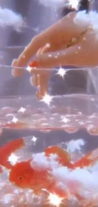 This mobile live wallpaper boasts a striking image of a hand reaching for a goldfish in a bowl, set against a backdrop of tiny stars