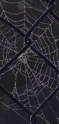 Looking for a unique and striking wallpaper for your phone? Check out this stunning live wallpaper featuring a spider web delicately suspended in a chain link fence