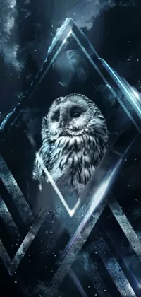 Water Organism Owl Live Wallpaper