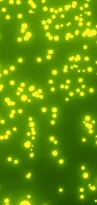 Water Organism Visual Effect Lighting Live Wallpaper