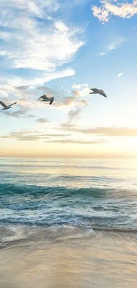 Looking for a serene and tranquil live wallpaper for your phone? Check out this beach-themed wallpaper featuring a stunning sunset and a few birds flying over the ocean
