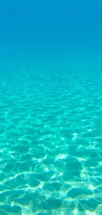 Water Outdoor Reef Live Wallpaper