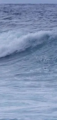 This dynamic live wallpaper showcases a colorful depiction of a surfer catching a wave off the coast of Kauai