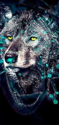 This live phone wallpaper features a close-up of a menacing wolf with glowing eyes