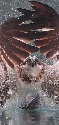 This phone live wallpaper depicts a stunningly realistic scene of a large bird soaring over a glistening body of water