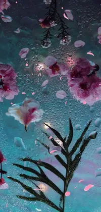 Water Petal Nature Live Wallpaper