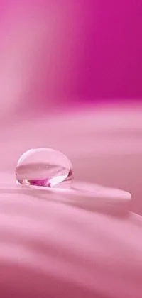 This pink-hued live wallpaper features a macro photograph of a water droplet on a bed