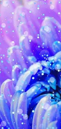 This smartphone live wallpaper features a stunning close-up photograph of a beautiful purple and blue flower