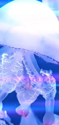 Water Photograph Jellyfish Live Wallpaper