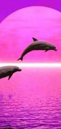 This phone live wallpaper showcases two dolphins jumping out of the water at sunset against a backdrop of vivid dayglo pink hues