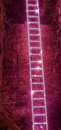 This phone live wallpaper is a unique and captivating design that features a ladder adorned with colorful Christmas lights