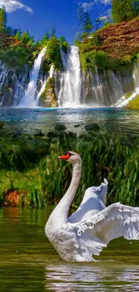 This live wallpaper features a serene waterfall as a backdrop, against which a graceful swan flaps its wings in charming slow-mo