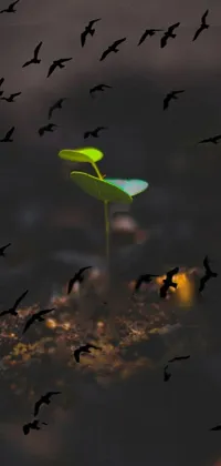 Water Plant Bird Live Wallpaper