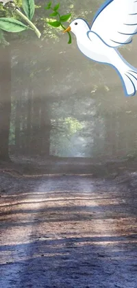 This stunning phone live wallpaper showcases a beautiful forest scene with birds flying freely in the crisp sunlight