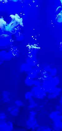 This live wallpaper features a peaceful scene of jellyfish swimming under a bright blue sky
