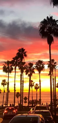This live phone wallpaper depicts a stunning scene of a luxurious car parked atop a road adjacent to swaying palm trees, surrounded by a breathtaking sunset view over the beach in Santa Barbara