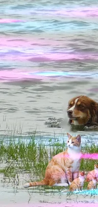 This phone live wallpaper showcases a delightful dog taking a dip in a lake against a picturesque backdrop