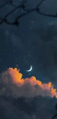 Transform your phone’s home screen with this stunning live wallpaper! This animated wallpaper features a beautiful image of the moon shining bright through a chain link fence, complemented with a picturesque night sky filled with stars and clouds