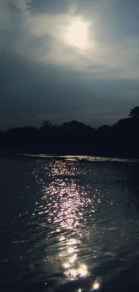 Experience the serene and mesmerizing beauty of this live wallpaper for your phone! This Assamese-inspired aesthetic features a dark and dimly-lit scene with a stunning body of water