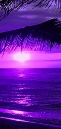 This stunning phone live wallpaper showcases a mesmerizing purple sunset over the ocean