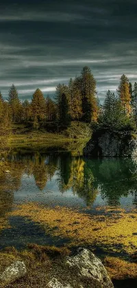 This live wallpaper for your phone features a tranquil body of water, surrounded by green trees and rocky mountains