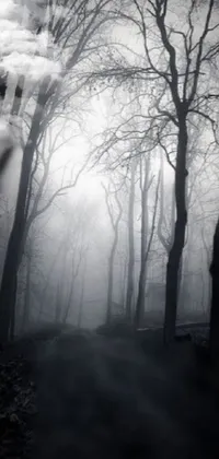 This black and white live wallpaper depicts a misty forest with tall trees reaching up towards an eerie glow in the sky