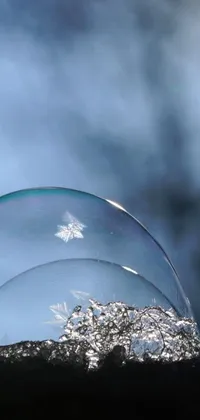 This live wallpaper showcases an intricate macro photograph of a soap bubble resting gently on a rock