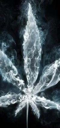 This phone live wallpaper features a 3D marijuana leaf with smoke effects and vibrant colors