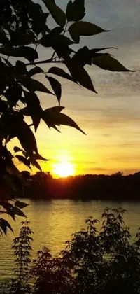 Experience a breathtaking sunset over the water with this stunning phone live wallpaper