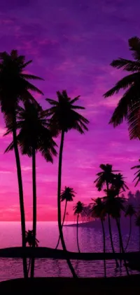 Enjoy the natural beauty of a serene beach setting with this stunning live wallpaper featuring palm trees silhouetted against a purple and orange sunset