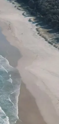 Add a mesmerizing live wallpaper to your phone featuring a beautiful South African beach