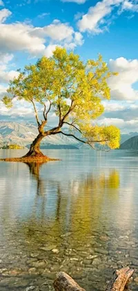 If you're after a stunning wallpaper for your phone, look no further! This live wallpaper features an exquisite digital artwork of a solitary tree standing tall amidst a tranquil lake
