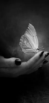 This stunning live wallpaper features a captivating black and white photograph of a person holding a butterfly, highlighting the beauty of nature